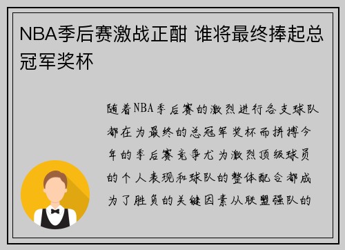 NBA季后赛激战正酣 谁将最终捧起总冠军奖杯