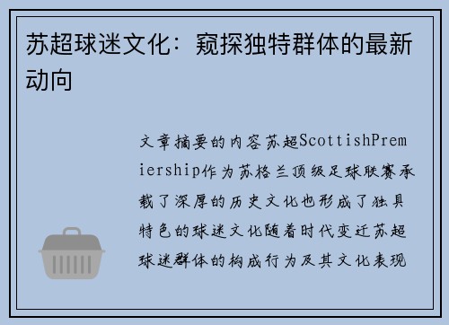 苏超球迷文化：窥探独特群体的最新动向