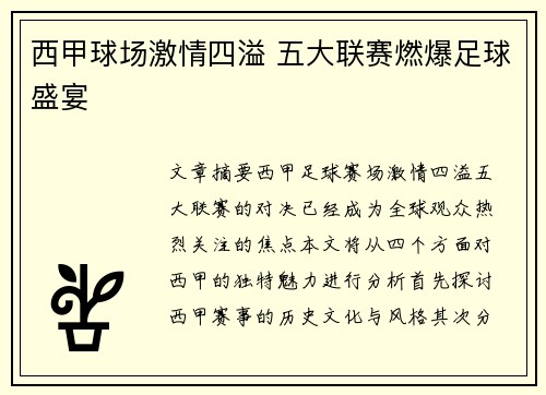 西甲球场激情四溢 五大联赛燃爆足球盛宴